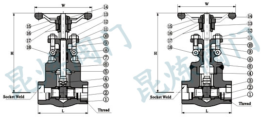 Z11HZ61HlyYD- ϺyT޹˾